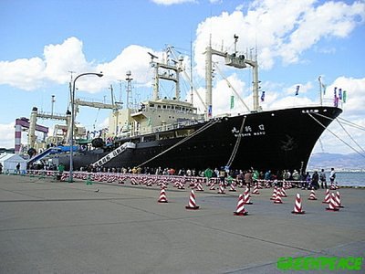 THESE ARE THE FACTORY FISH BOATS THAT DECIMATED THE COD