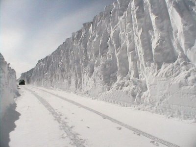 THIS IS WHAT A 16 FOOT SNOWFALL LOOKS LIKE AFTER THE ROAD IS CLEARED