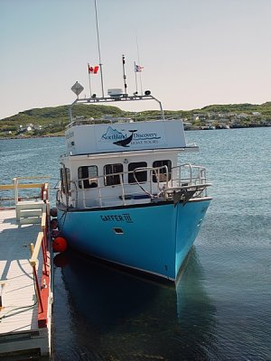 IT WAS A BEAUTIFUL DAY FOR ICEBERG HUNTING AND WHALE WATCHING