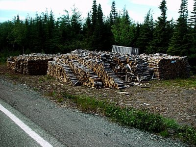 THE WOODPILES ALONG THE ROAD OF NEWFOUNDLAND ARE UNBELIEVABLE