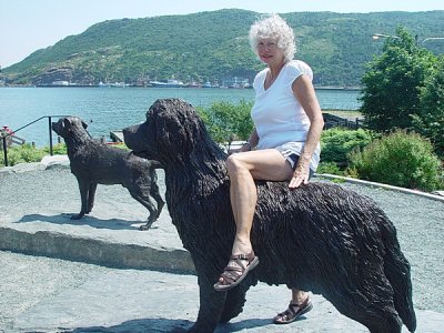 THESE DOGS WERE HOT TO SIT ON EVEN IN NEWFOUNDLAND
