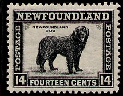 NEWFIE DOGS ARE IMMORTALIZED ON NEWFOUNDLAND STAMPS