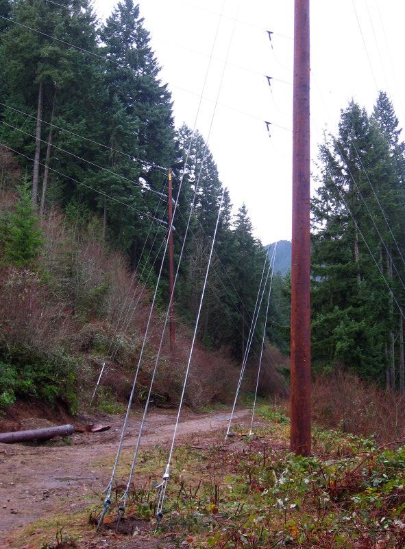 New poles and wires