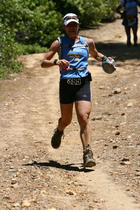 Meredith Terranova