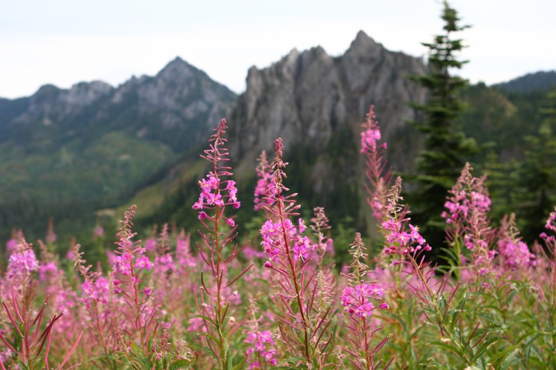 French Cabin Peaks