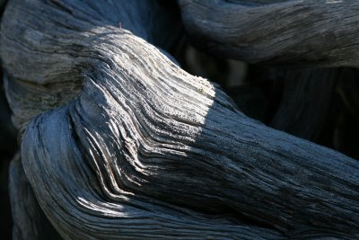 Weathered Wood