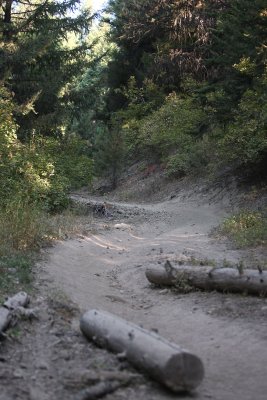 Trail 1326