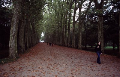 chambourd