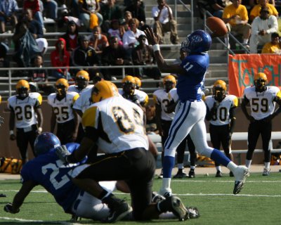 cIMG_0147.jpg