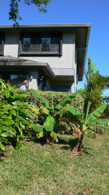 Front view of exterior of building