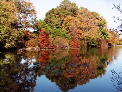 01 NOV 06 FALL COLOR POND