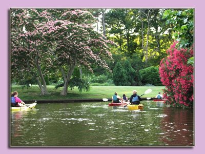 21 JUN 07  KAYAKING THRU THE BOTANICAL GARDEN