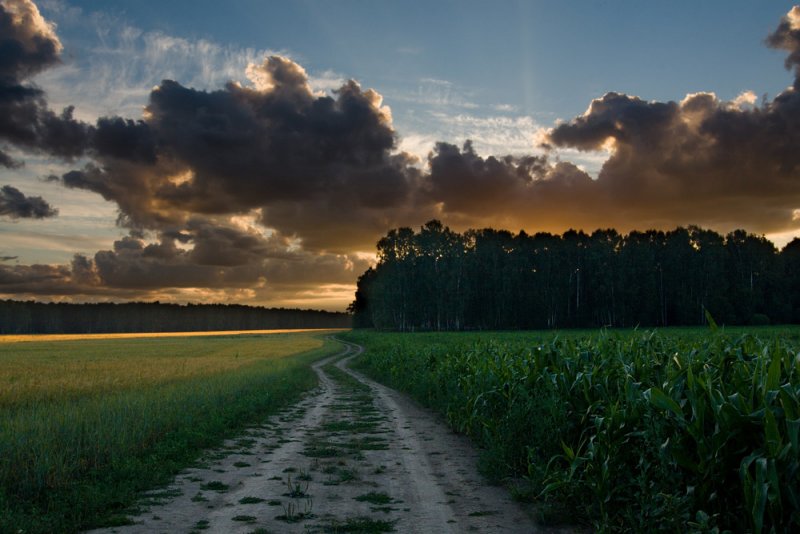 pursuit of setting sun