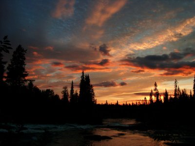 Kutsayoki river 2004. Karelia -  ().  2004