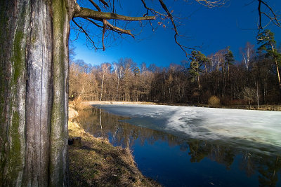 Izmailovaski park