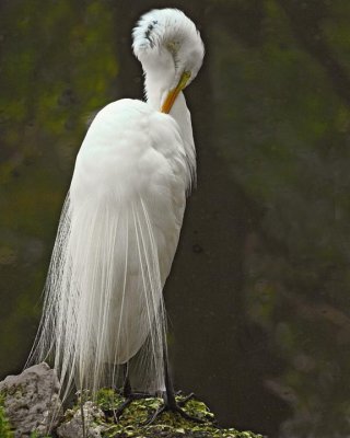 _DSC0029 low res.jpg