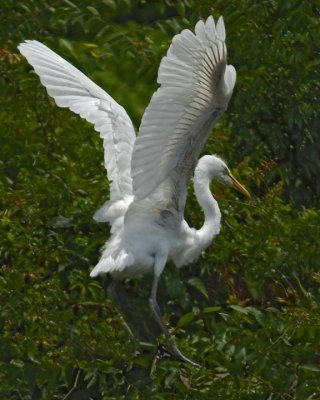 _DSC0626 low res.jpg