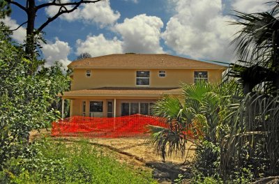 Back of the house pool needs some work