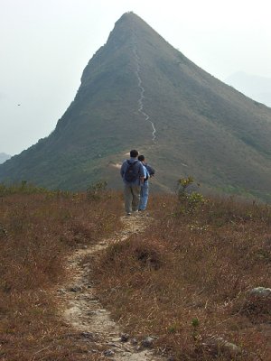 A view of Tiu Yue Yung Peak from Miu Tsai Tun