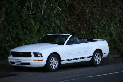 Our Mustang convertible rent-a-car