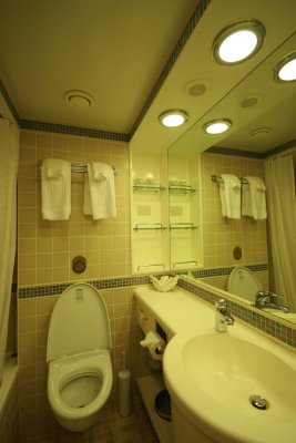 Bathroom of D218 (Dolphin Deck mini-suite)