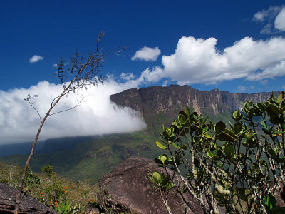 Low clouds