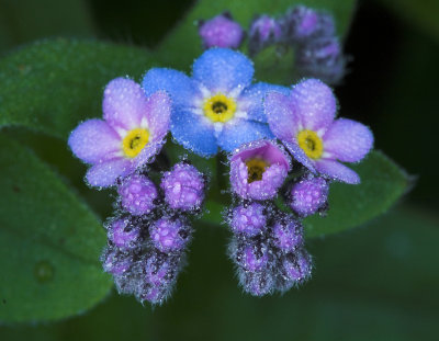CRW_9414-01.jpg