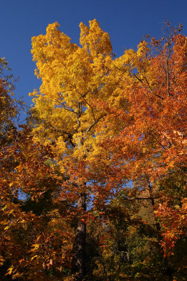 CRW_1329.jpg