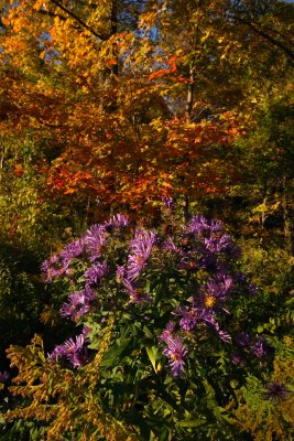 CRW_1349.jpg
