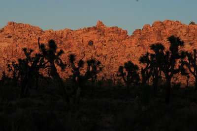 CRW_1674.JPG