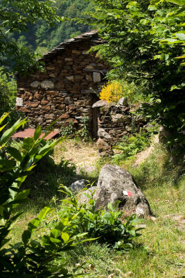 CRW_2498.jpg