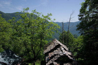 CRW_2528.jpg
