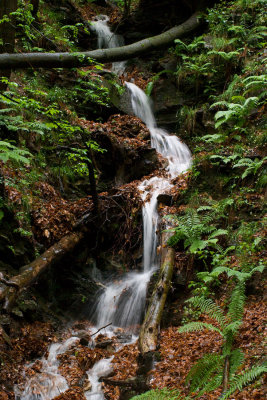 CRW_2597.jpg