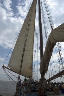 DSC_4499.jpg