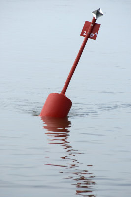 DSC_4550.jpg