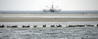 DSC_4515.jpg