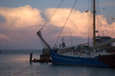 In de haven van Oudeschild, Texel