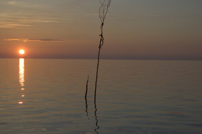 Overnachten op het Wad