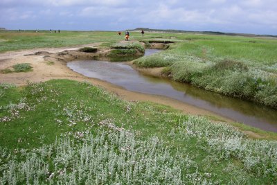 De Slufter, Texel