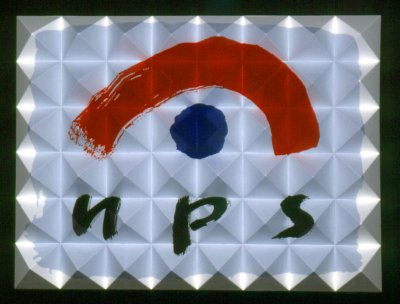 Ruimtelijk object - NPS