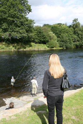 Fishing for Salmon at Pitlochry
