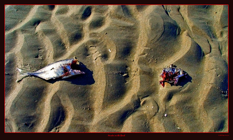 ...Murder on the Beach...