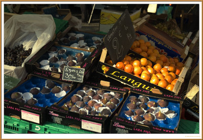 figues