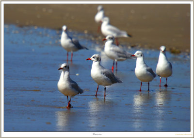 procession