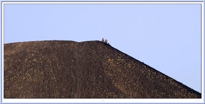 Casse Croute Sur le Terril