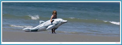 Flipper