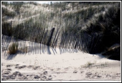 Fence
