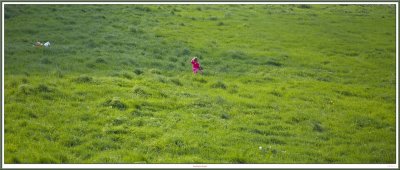Searching her Bicycle
