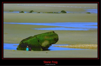 Stoned Frog