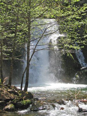 Jenkinson Waterfall